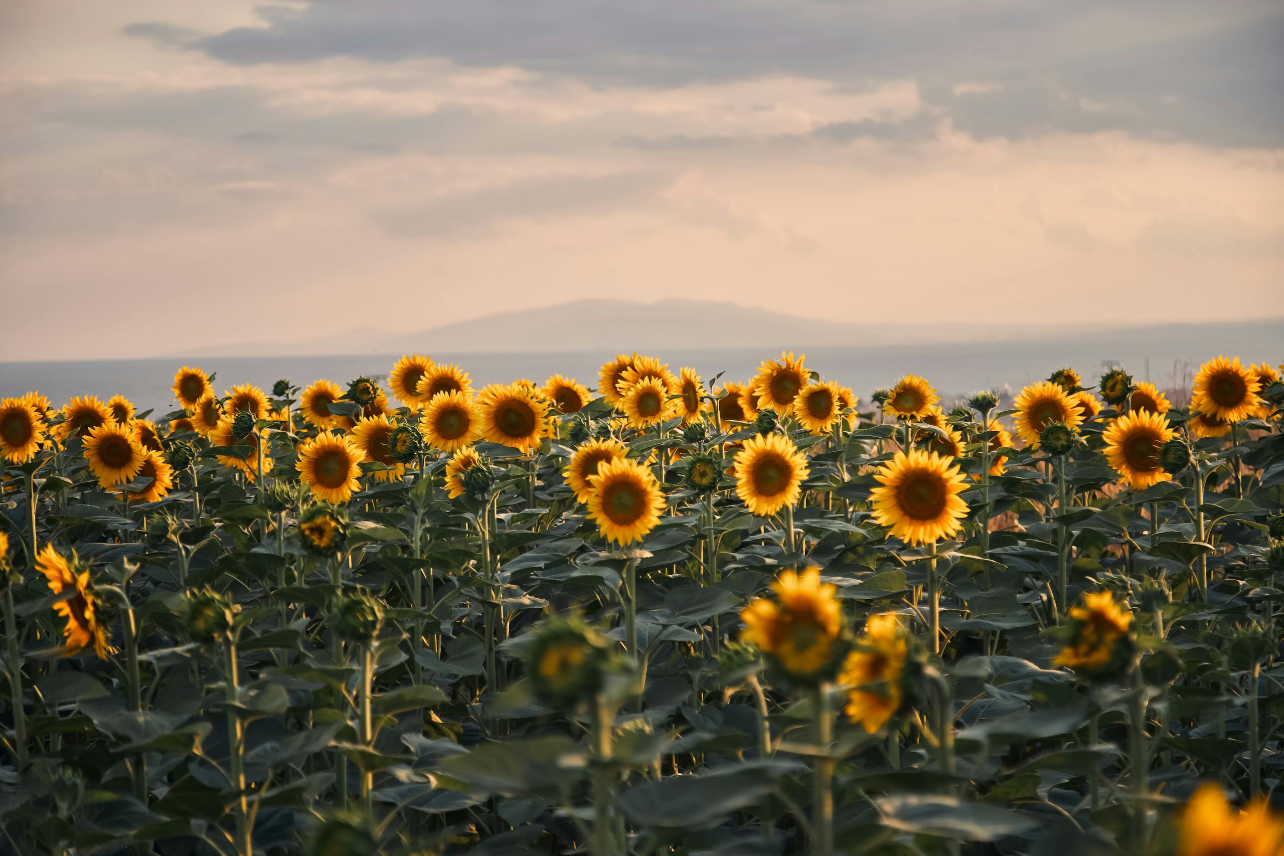 No puede ser siempre verano